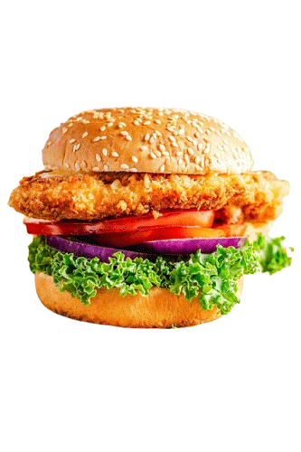 SONIC Crispy Chicken Sandwich